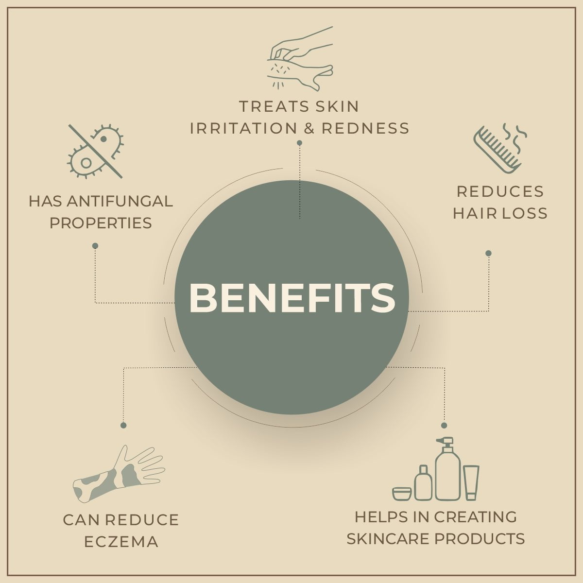 Salvia Natural Essential Oils Sweet Birch Oil Salvia Natural Essential Oils Sweet Birch Oil